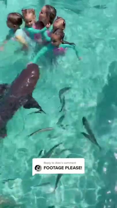 A little girl got bitten by a shark