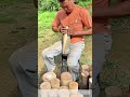 Peeling Rough Bark: Uncovering Smooth Timber Through Hand‑Only Rural Craft