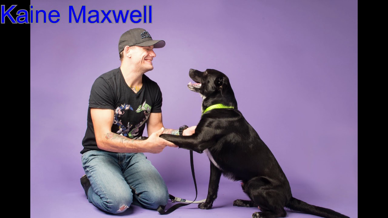 shelter pelicula completa en español Social Butterfly and Friend to All! Kaine Maxwell at HAR