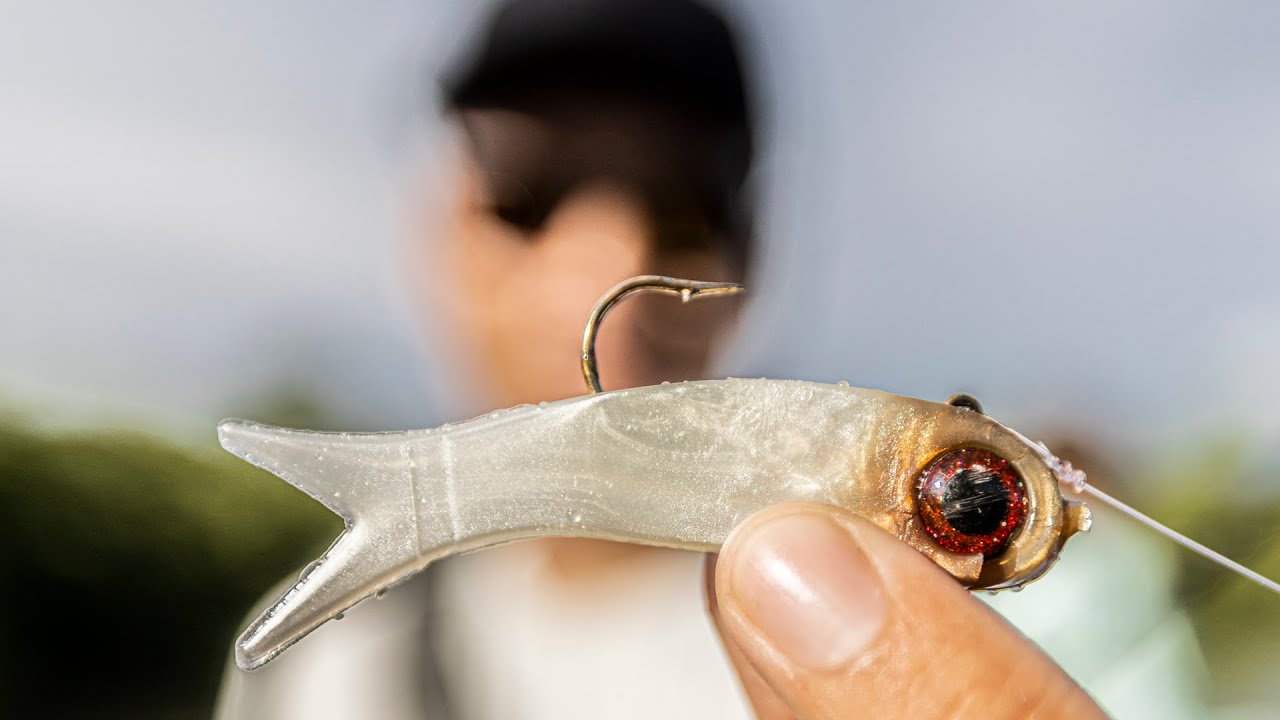 What is the best lure to catch a small tarpon in brown water? - Quora