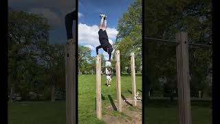 Minha Evolução Em 2 Anos