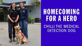 Homecoming for a hero: Chilli the Medical Detection Dog
Two years ago, Chilli was born at Battersea. Today he could help change lives 💙
As a confident pup with a remarkable sense of smell, Chilli was taken on by Medical Detection Dogs and has since been thriving in his training as a Bio Detection Dog. He is one of the few dogs in the world able to detect Pseudomonas aeruginosa, a common cause of chronic lung infections in people with cystic fibrosis.
Battersea organised a special homecoming for Chilli to reunite with his former foster carer and show off the incredible skills he has learned. He also got a surprise visit from his brother, Reggie!
Its amazing what rescue dogs can achieve with the right support. Battersea and Medical Detection Dogs are very fortunate to be supported by players of Postcode Lottery. Thanks to the funds raised by players, Chilli, Reggie and countless more dogs and cats get to have the wonderful lives they deserve. Homecoming for a hero: Chilli the Medical Detection Dog