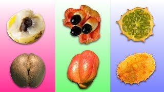 Amazing fruits of Africa | Learn fruits and vegetables | Fun learning for kids