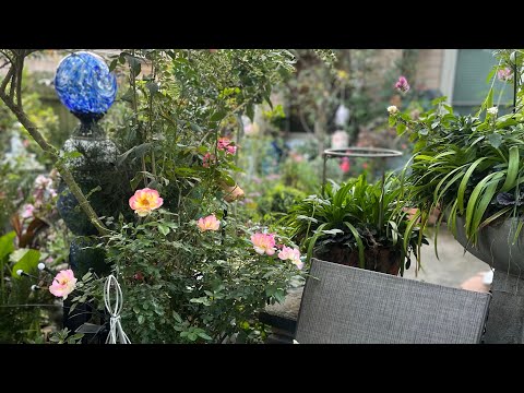 JALAN JALAN SORE NGELIAT SUASANA TERKINI KAWASAN KOTA WISATA 