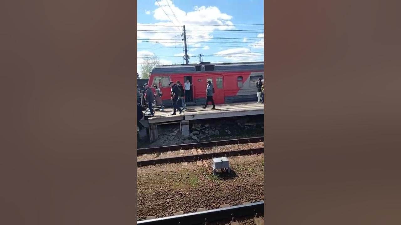 Электричка москва-петушки. Петух в поезде. Эд4м 0321. Станция усад горьковского направления. Электрички петушки фрязево.