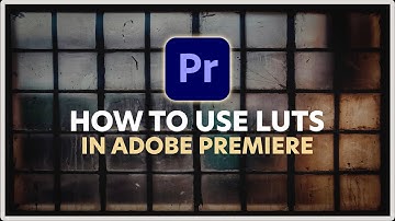 How to Use LUTs in Adobe Premiere Pro 2024