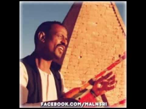اللوم عشم محمد النصري