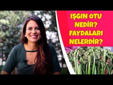 Işgın Otu Nedir? Faydaları Nelerdir?