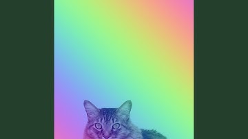 Pulsating Backdrops for Calm Cats