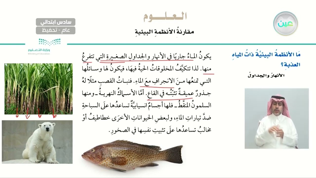 ما الأنظمة البيئية ذات المياه العذبة؟ - العلوم - سادس ابتدائي