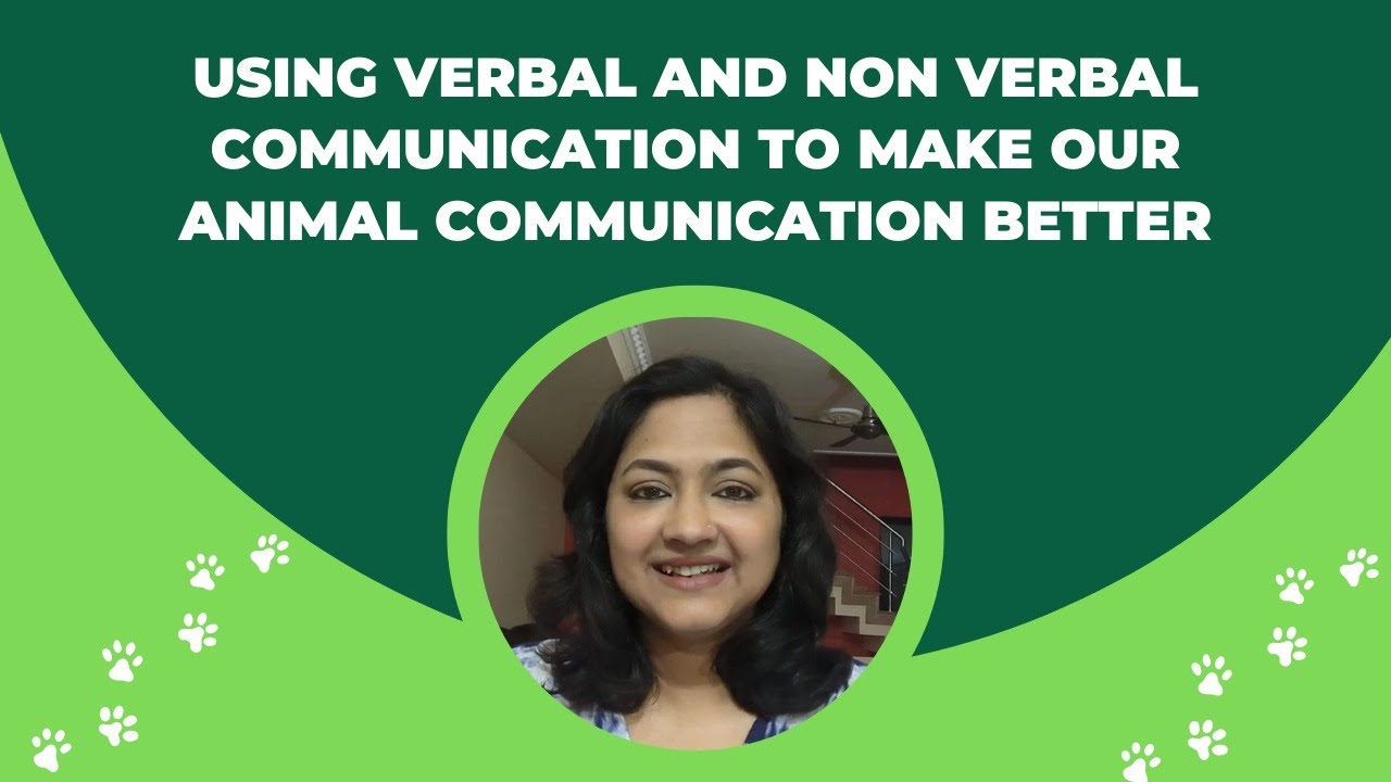 Using Verbal and Non Verbal communication to make our Animal