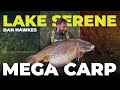 89lb common carp dan hawkes takes on the notorious lake serene