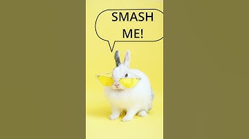 FLOW  (Dapper Labs) To The Moon?! [Best NFT