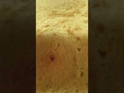 اكثر اكلة شعبية في الجزائر