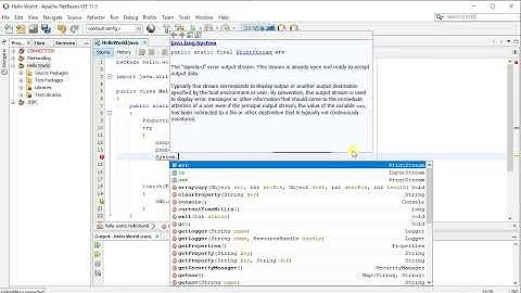 How to Set System Properties in Java using Netbeans and Java JDK