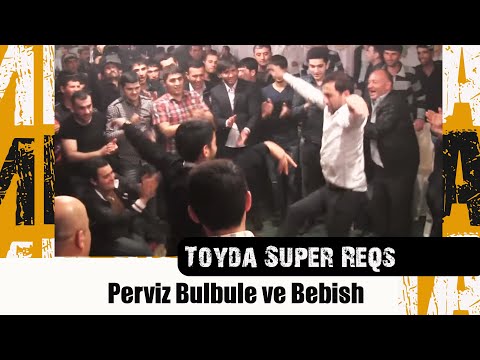 Toyda Super Reqs| Perviz Bulbule ve Bebish | Palatka Dance Online