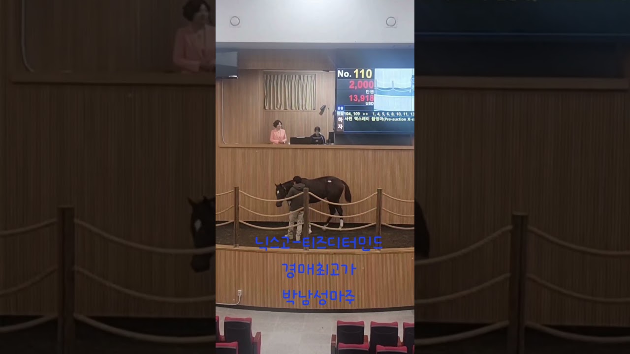 닉스고-티즈디터민드(경매최고가, 박남성마주, 9.800만원)