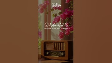 تلاوة خاشعة من سورة التكوير 📖✨   الشيخ عبد الباسط عبد الصمد