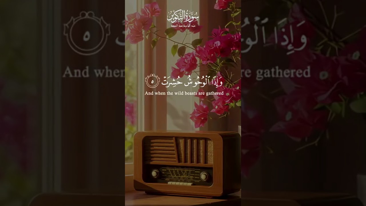 تلاوة خاشعة من سورة التكوير 📖✨ الشيخ عبد الباسط عبد الصمد