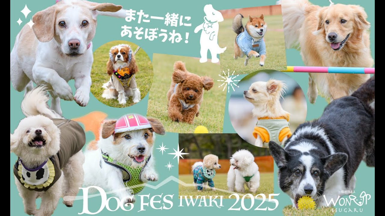 DOG FES IWAKI 2025 Memorial Movie