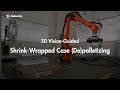 3D Vision-Guided Shrink-Wrapped Case Depalletizing & Palletizing