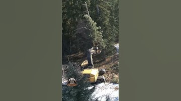 Heavy Equipment stacking timber!  #heavyequipment #loggingequipment #work #logging #tigercat