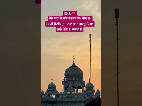 #waheguruji #gurbanishabad #shorts