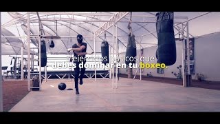 5 ejercicios básicos que un boxeador amateur debe dominar.