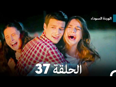 الوردة السوداء الحلقة 