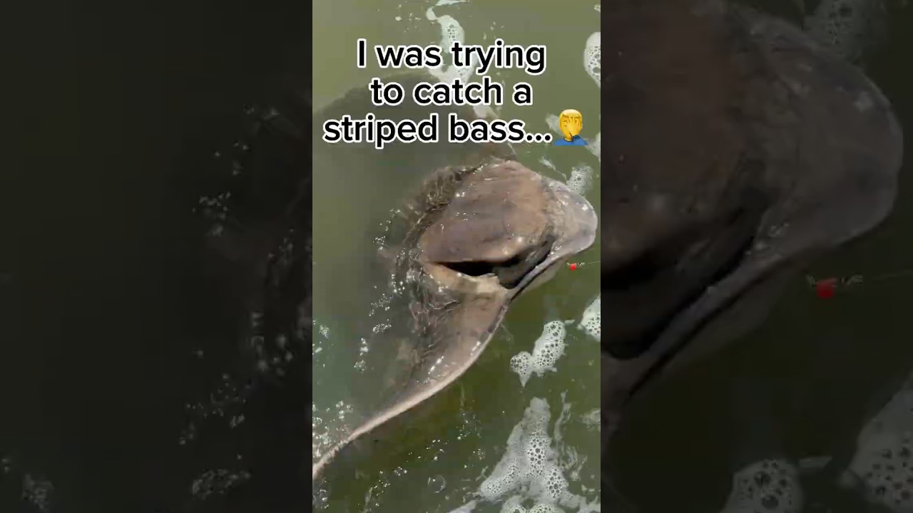 You win some you lose some🦇🎣 