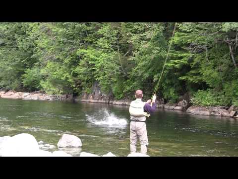 Huge dry fly steelhead action in BC