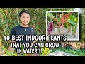PROPAGATING INDOOR PLANTS IN WATER | BEST INDOOR PLANTS THAT YOU CAN GROW IN WATER