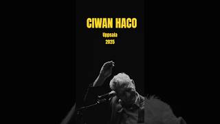 Ciwan Haco Concert 2025 #ciwanhaco #ciwan #haco #concert #concerts #kurdistan #kurdish #amed