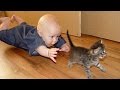 The best funny compilation Babies & cats 