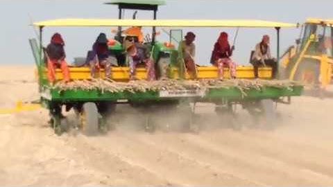 PLANTADEIRA DE MANDIOCA 6LINHAS-CASSAVA PLANTER 6 ROWS-HENNIPMAN