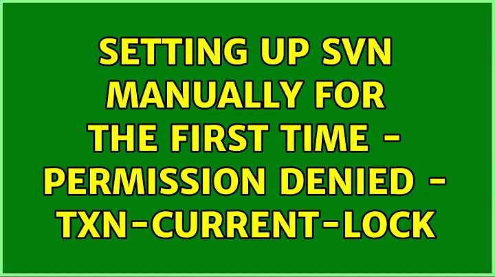 Setting up svn manually for the first time - Permission denied - txn-current-lock