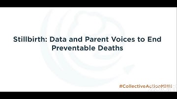 Day Two | Concurrent Technical Session: Stillbirth