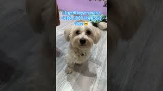 Ha meg lesz akkor koszike💋🍉