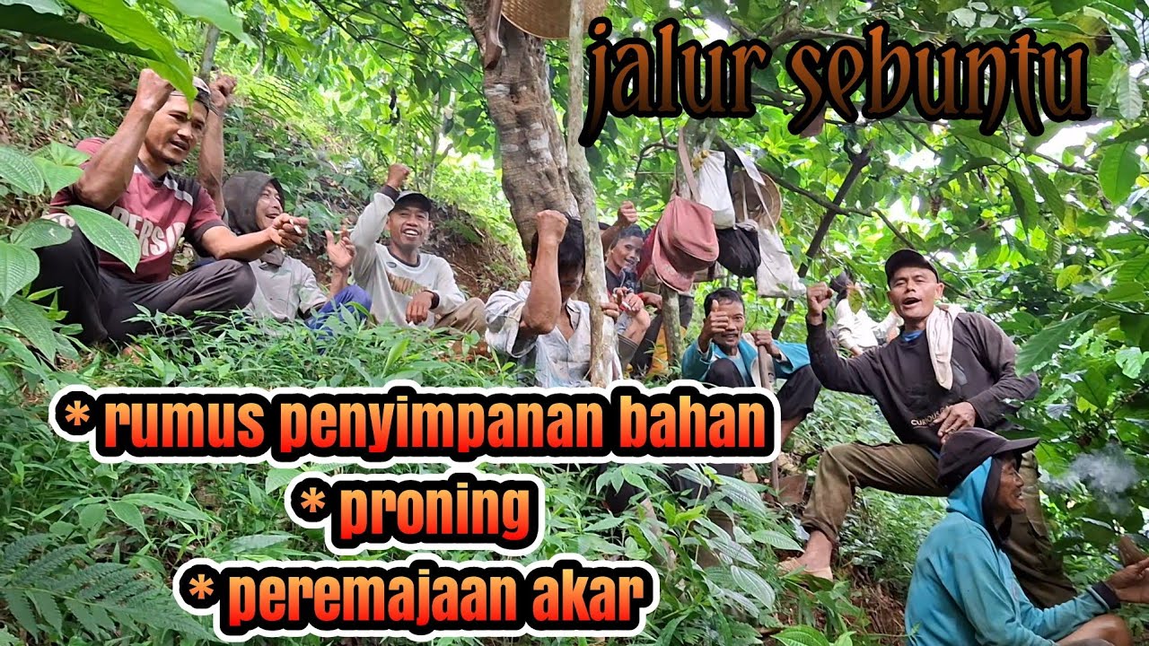 PRONING DAN PEREMAJAAN AKAR 