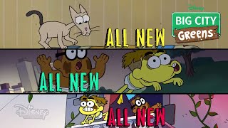 Big City Greens | New Episodes! 🌱