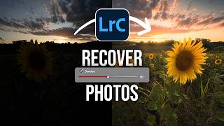 The POWER of AI DENOISE - RESTORE Photos in Lightroom!
