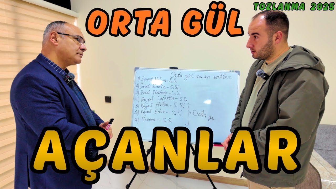 ORTA GÜL AÇANLAR. TOZLANMA 2025