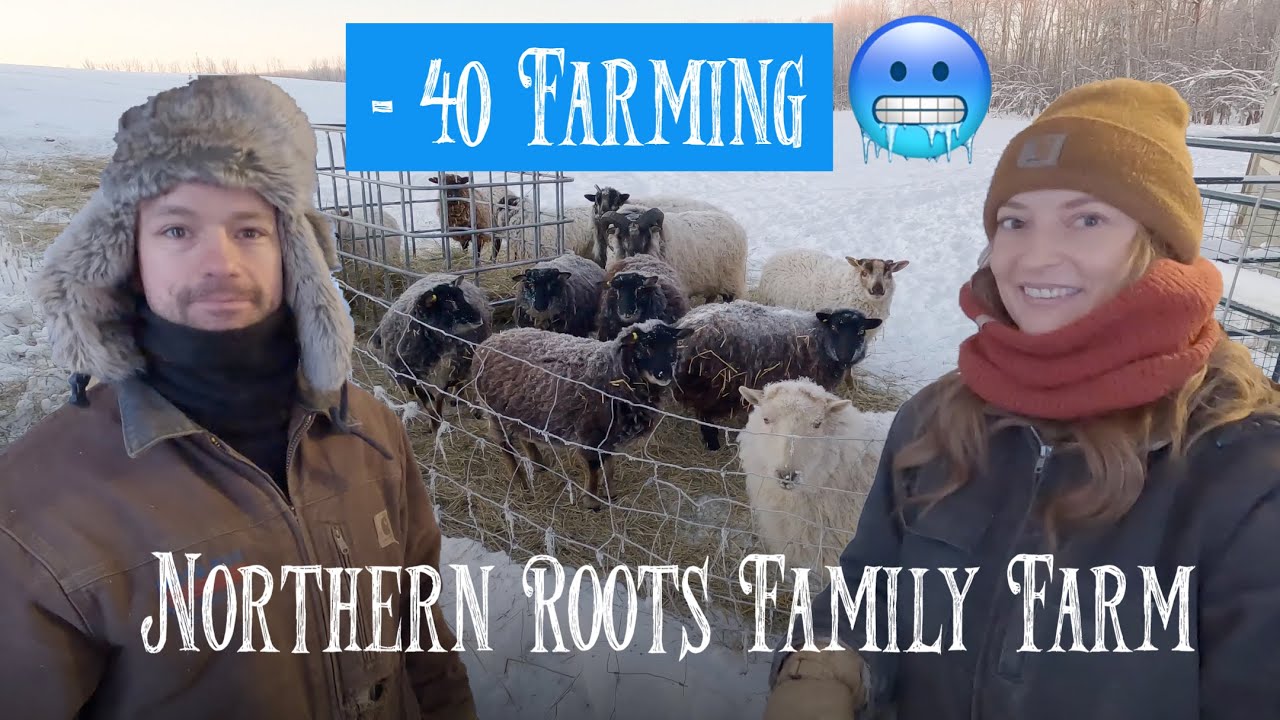 Livestock Farming in -40 Weather!! | Northern Roots Family Farm (Mike ...