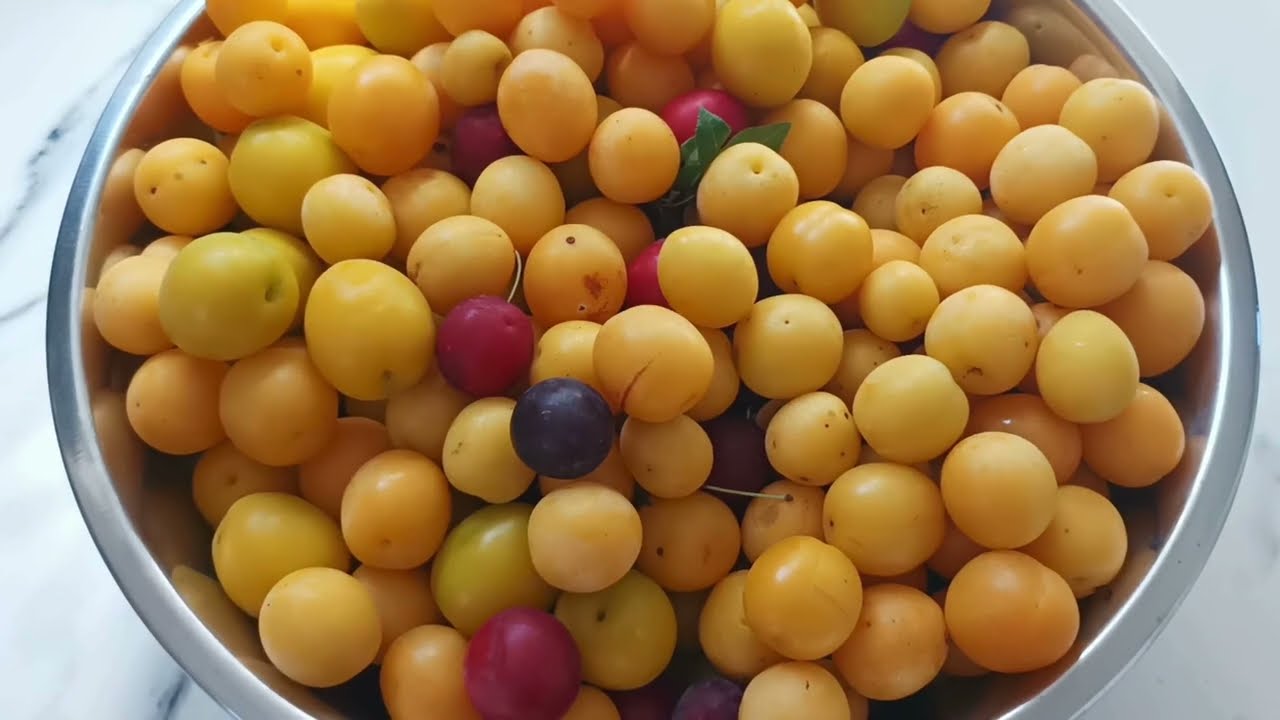 SOKI Z SOKOWNIKA - MIRABELKA