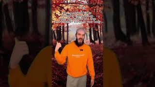 shorts pewdiepie funny tree outside memes markiplier jacksepticeye