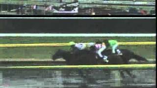 競馬 2003年ジャパンカップダート フリートストリートダンサー 実況