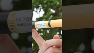 Sting Test: Giant Carpenter Bee vs. Brave Host #insectworld