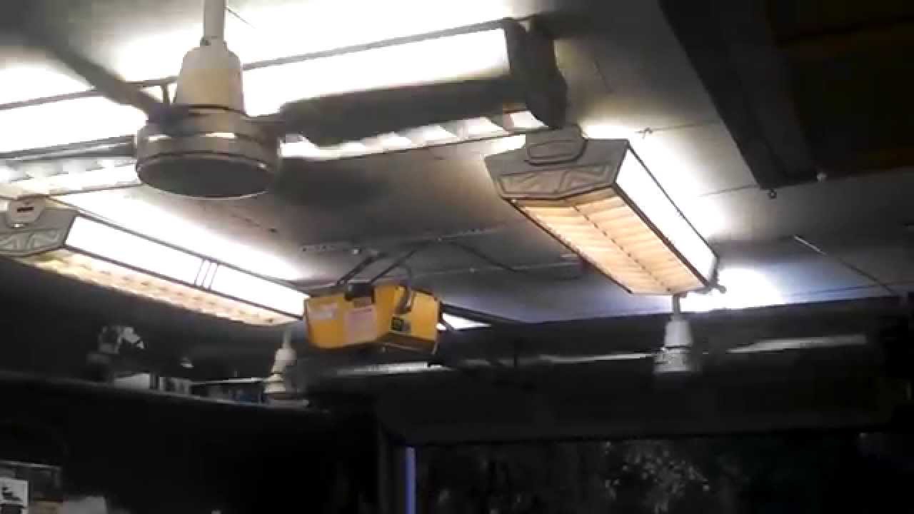Garage Fans & Lights Stage 2 (curved blades on both Evergos) YouTube