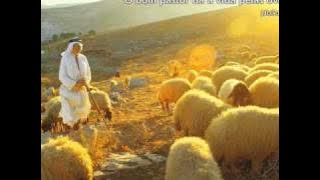 OVELHA DESGARRADA.wmv