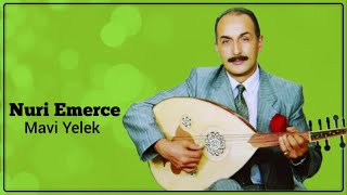 Nuri Emerce - Mavi Yelek Resimi